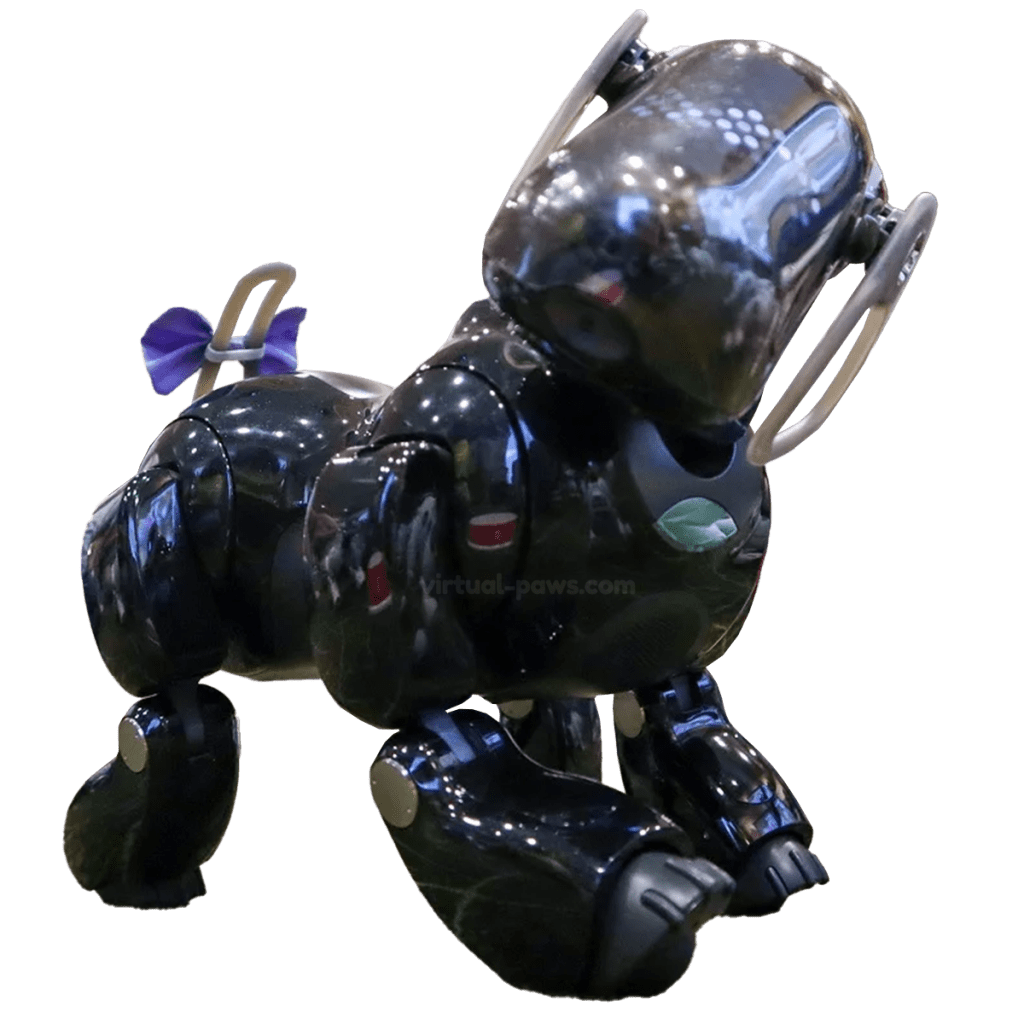 black ers-7 standing